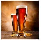 466a5309-3d65-4470-ab5a-66b9a875a53d-amber lager_2.png